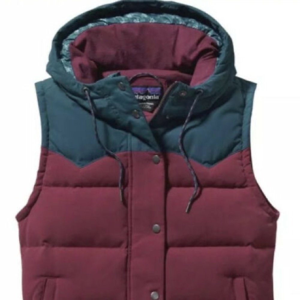 Patagonia down vest!
